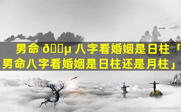 男命 🌵 八字看婚姻是日柱「男命八字看婚姻是日柱还是月柱」